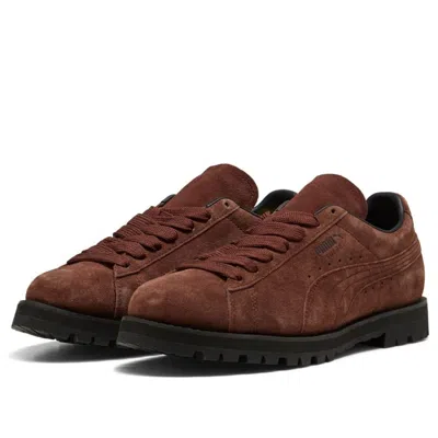 Puma Men Strings In Brown