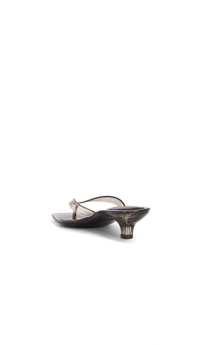 Raye Shelly Sandal In Brown