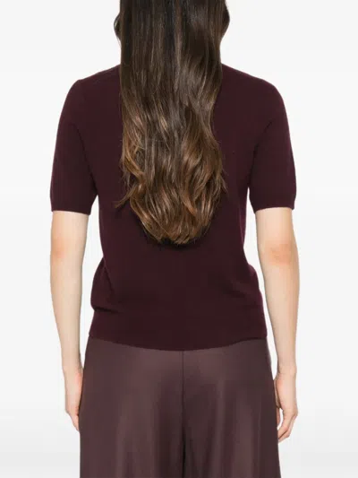 Bompard Kurzärmeliger Pullover In Burgundy