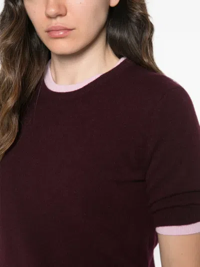 Bompard Kurzärmeliger Pullover In Burgundy