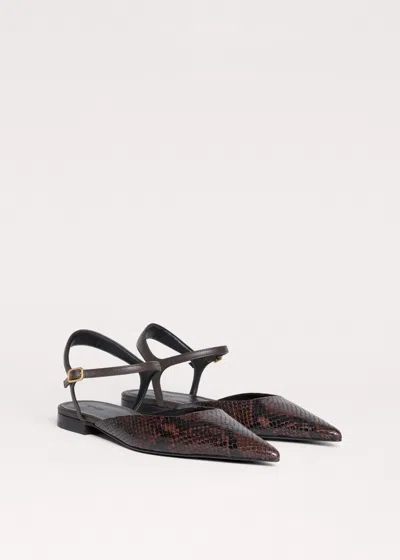 Me+em Point-toe Flat Chocolate Multi In Chocolate Multi
