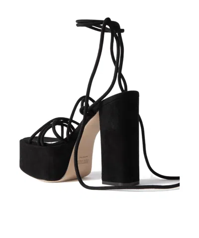 Paris Texas Solid Color Suede Platform Sandals In Black