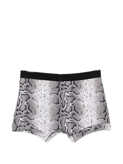 Tom Ford Snake-print Logo-waistband Boxers In Multi