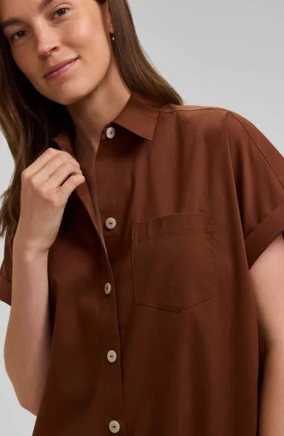 Foxcroft Abigail Short Sleeve Button-up Shirt In Brown