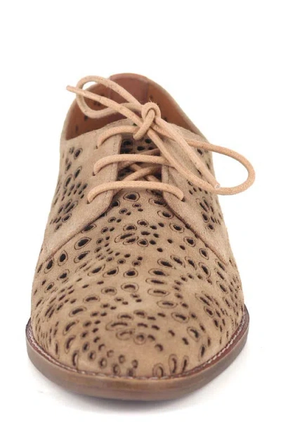 Gentle Souls Aronson Derby In Neutral