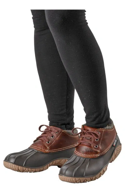Baffin Whitetail Ii Lace-up Ankle Duck Boot In Brown