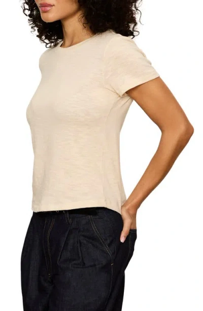 Sanctuary Icon T-shirt In Neutral
