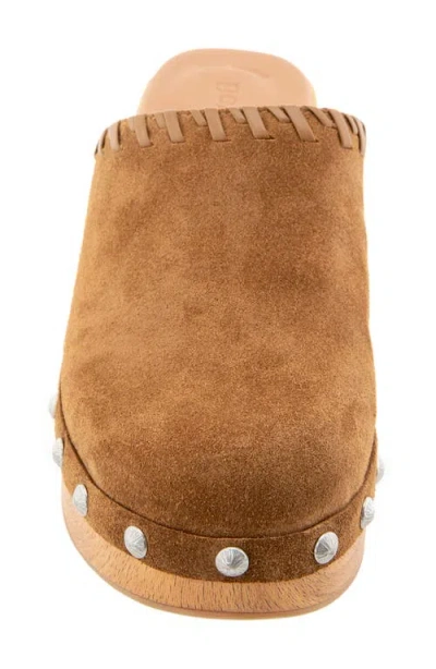 Gentle Souls Daphine Clog In Multi