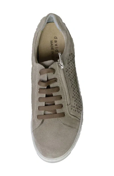 David Tate Perla Sneaker In Multi