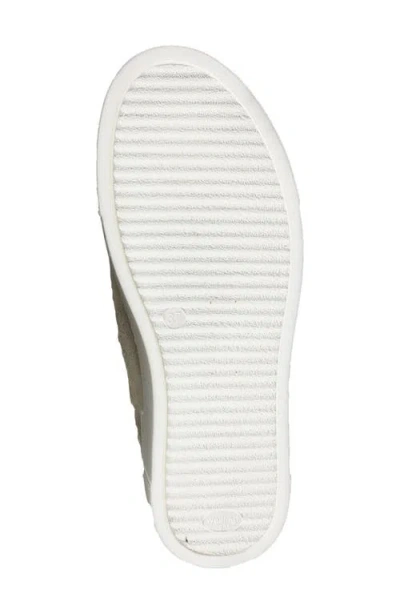 David Tate Perla Sneaker In Multi