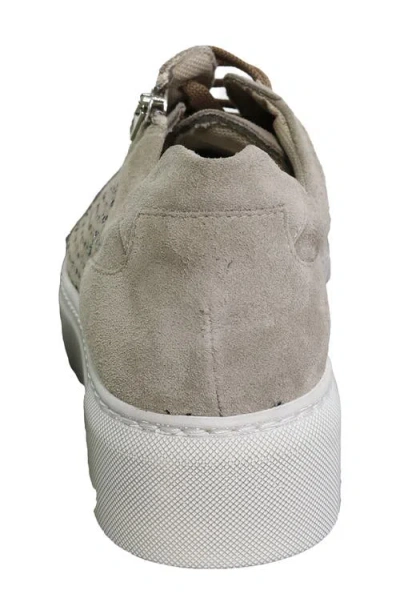 David Tate Perla Sneaker In Multi