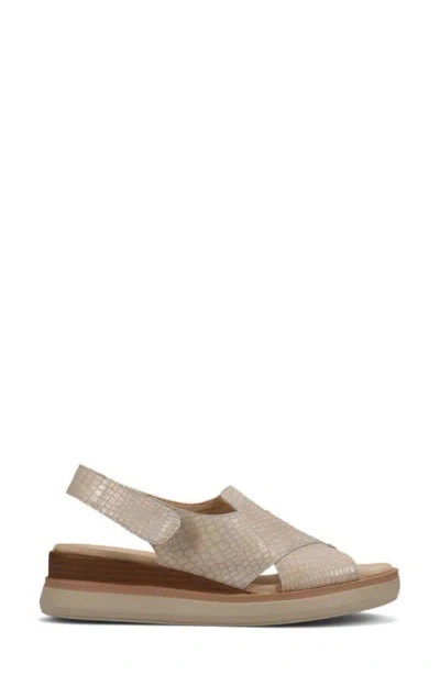 Vaneli Hydra Sandal In Multi