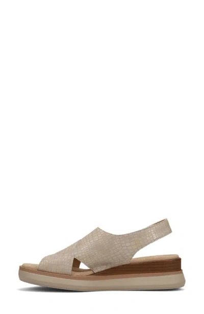 Vaneli Hydra Sandal In Multi