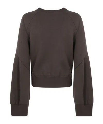 Sacai Sponge Sweat Pullover In Brown