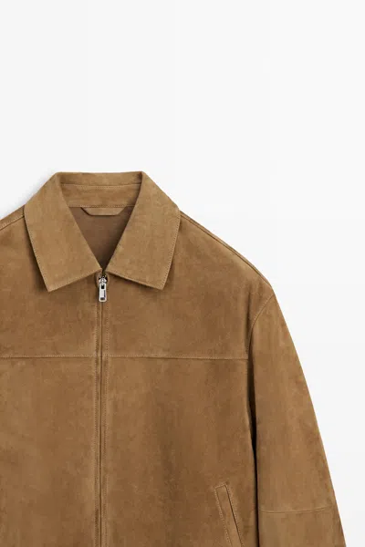 Massimo Dutti In Brown