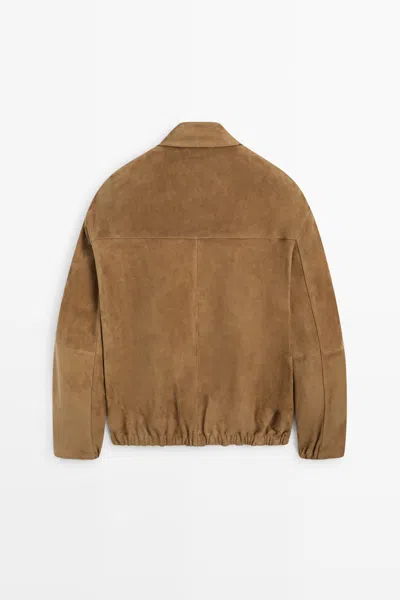 Massimo Dutti In Brown