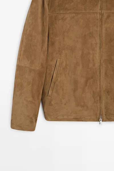 Massimo Dutti In Brown