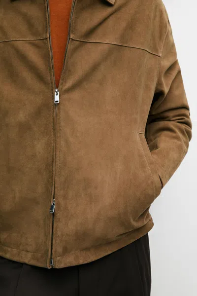 Massimo Dutti In Brown