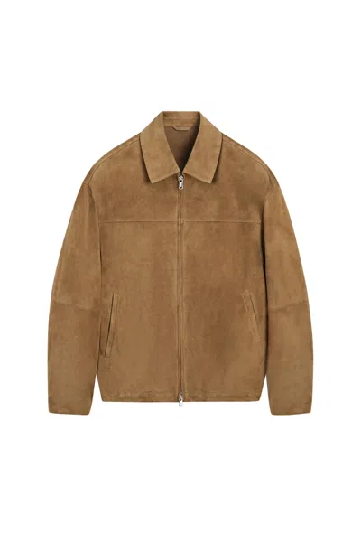 Massimo Dutti In Brown