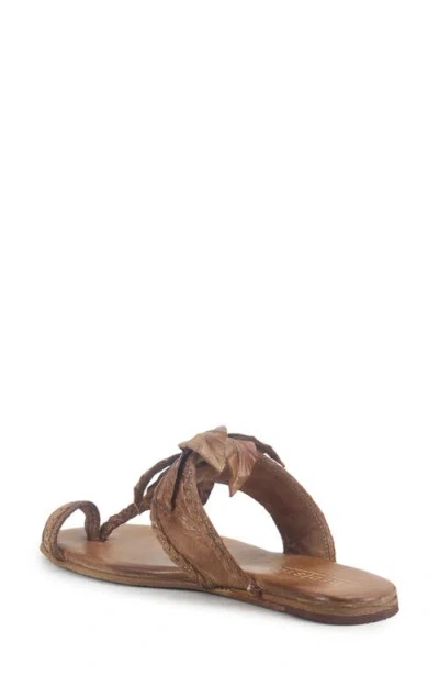 Bed Stu Isobel Toe Loop Sandal In Brown