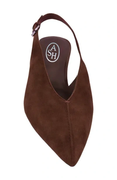 Ash Vera Pointed Toe Slingback Pump In Brown