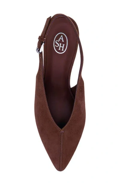 Ash Vera Pointed Toe Slingback Pump In Brown