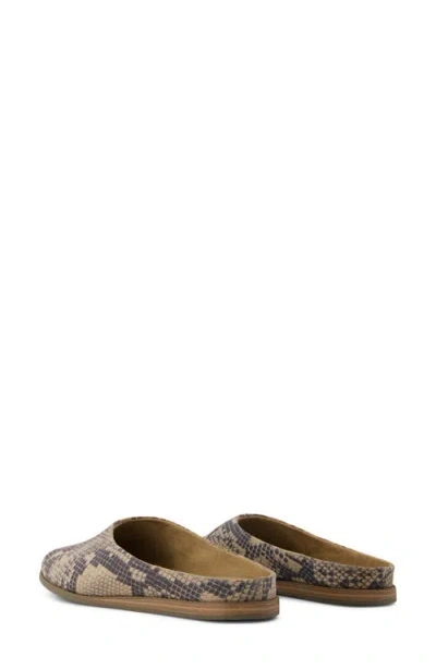 Toms Amelia Flat Mule In Multi