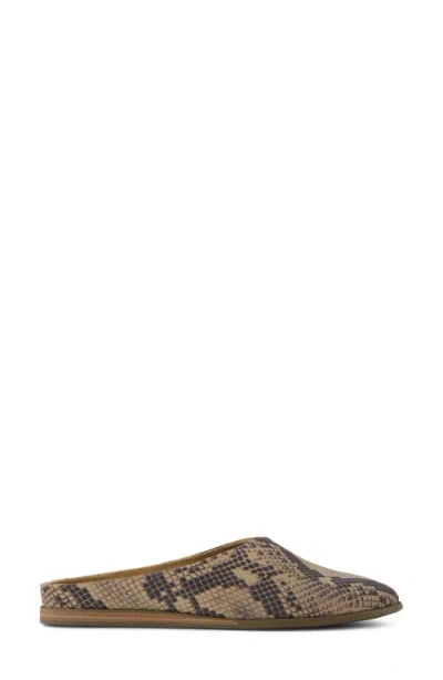 Toms Amelia Flat Mule In Multi