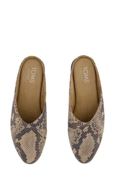 Toms Amelia Flat Mule In Multi