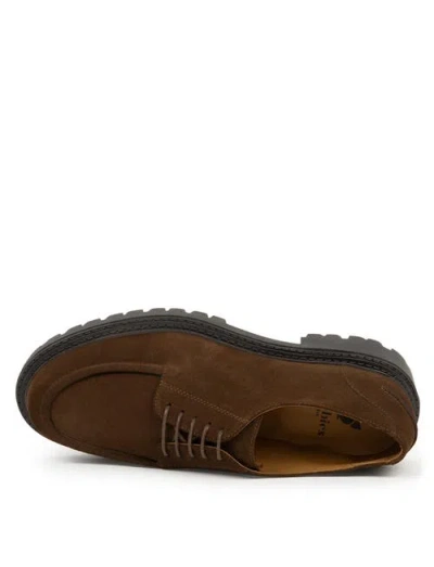 Bobbies Abel Derbies In Brown
