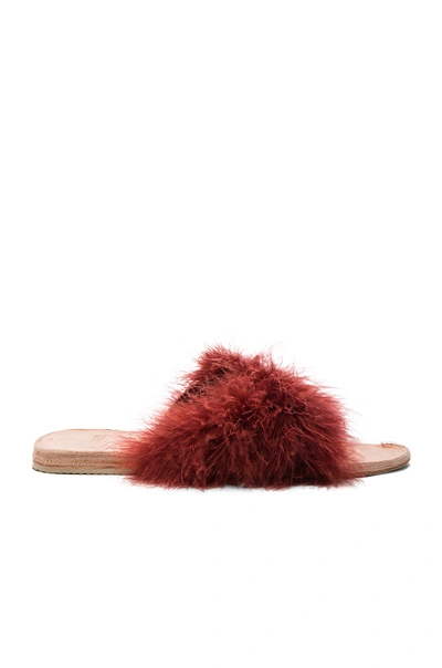 Brother Vellies Marabou Lamu Sandal In Currant