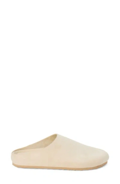 Coconuts By Matisse Ashford Mule In White