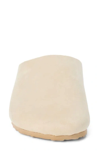 Coconuts By Matisse Ashford Mule In White