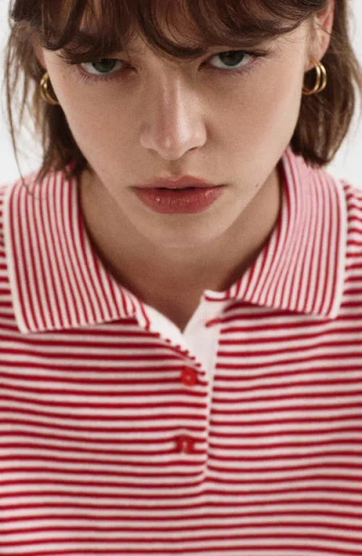 Mango Pull-over Maille Col Polo In Red