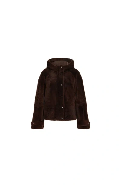 Brunello Cucinelli Shearling Outerwear Jacket With Shiny Zipper Pull In Brown