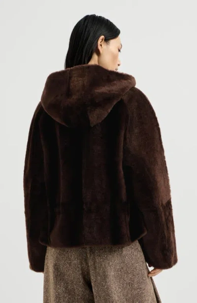Brunello Cucinelli Shearling Outerwear Jacket With Shiny Zipper Pull In Brown