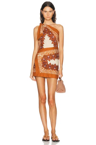 Johanna Ortiz Sun Traveller Printed Cotton-voile Mini Dress In Brown