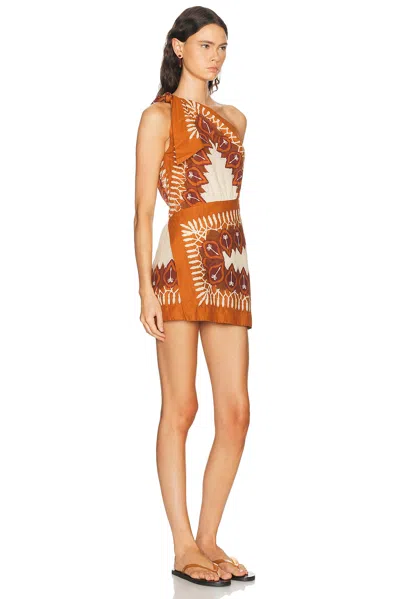 Johanna Ortiz Sun Traveller Printed Cotton-voile Mini Dress In Brown