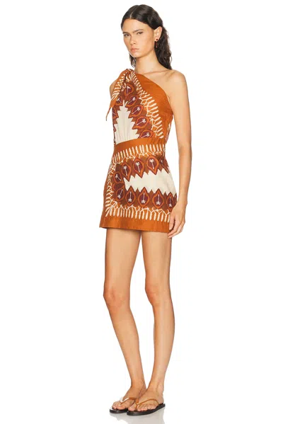 Johanna Ortiz Sun Traveller Printed Cotton-voile Mini Dress In Brown