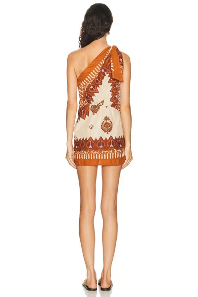 Johanna Ortiz Sun Traveller Printed Cotton-voile Mini Dress In Brown