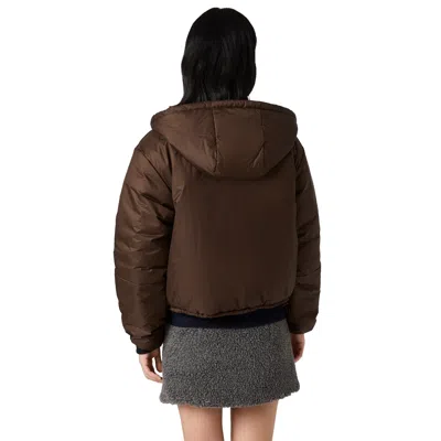 Miu Miu Cropped Ripstop Down Jacket In Multi