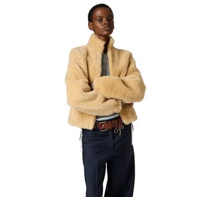 Miu Miu Shearling Blouson Jacket In Multi