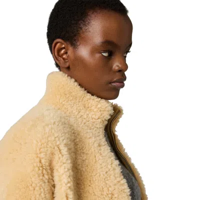 Miu Miu Shearling Blouson Jacket In Multi