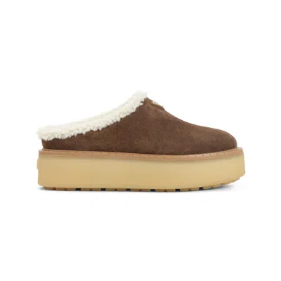 Prada Simple Mules In Brown