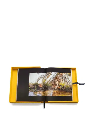 Assouline Arabian Leopard Book In Multi