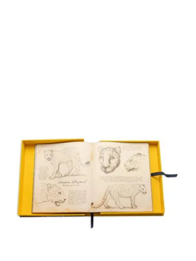 Assouline Arabian Leopard Book In Multi