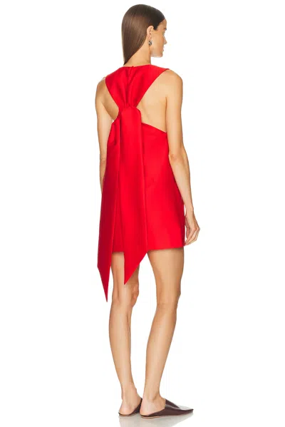 Srg Daniel Mini Dress In Red