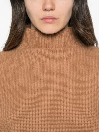 Ely Ely Haley Sweater In Brown