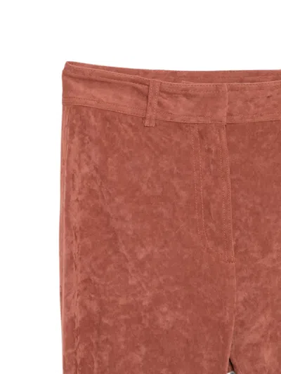 Alberta Ferretti Belt-loop Trousers In Brown