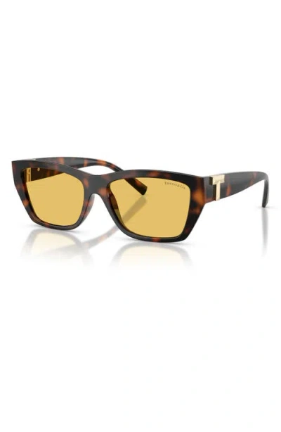 Tiffany & Co . 56mm Rectangular Sunglasses In Brown